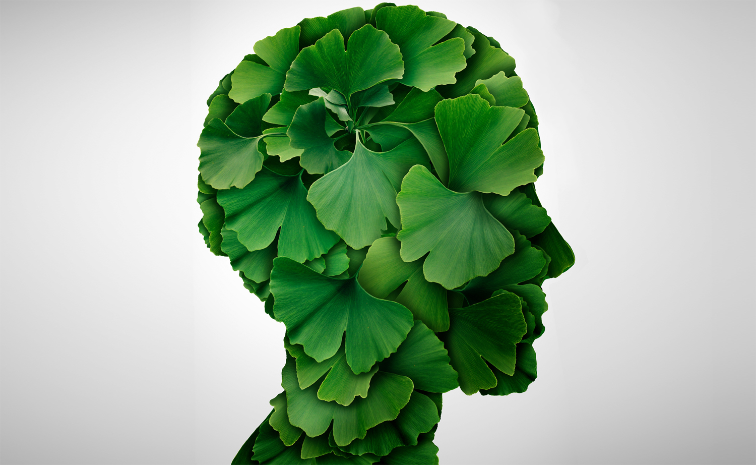 Halten Sie Ihren Kopf gesund und fit!