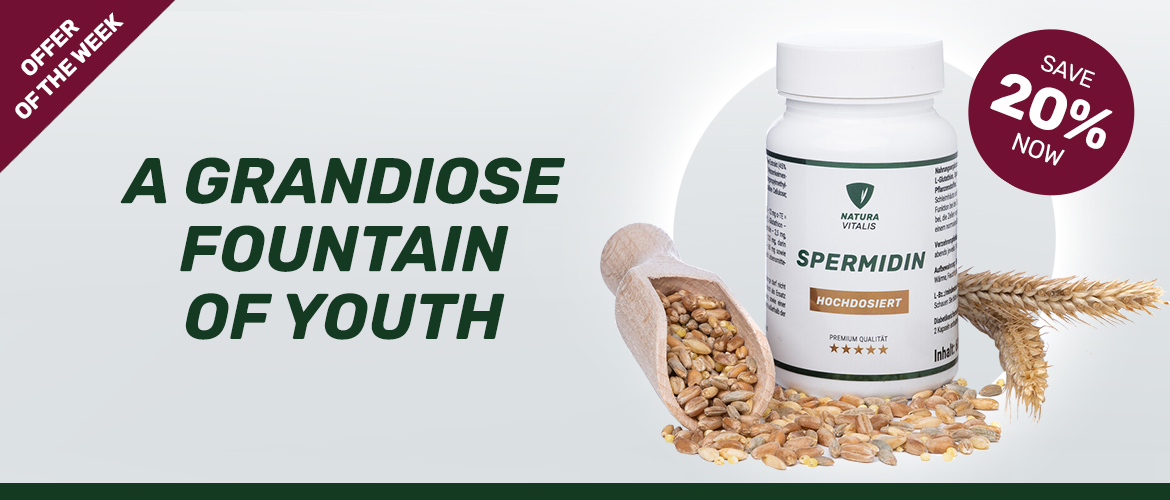 Spermidine